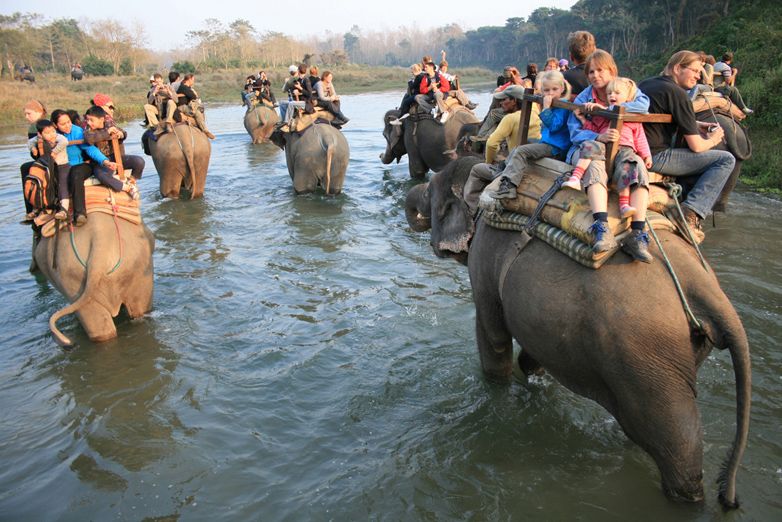 chitwan-national-park (1).jpg