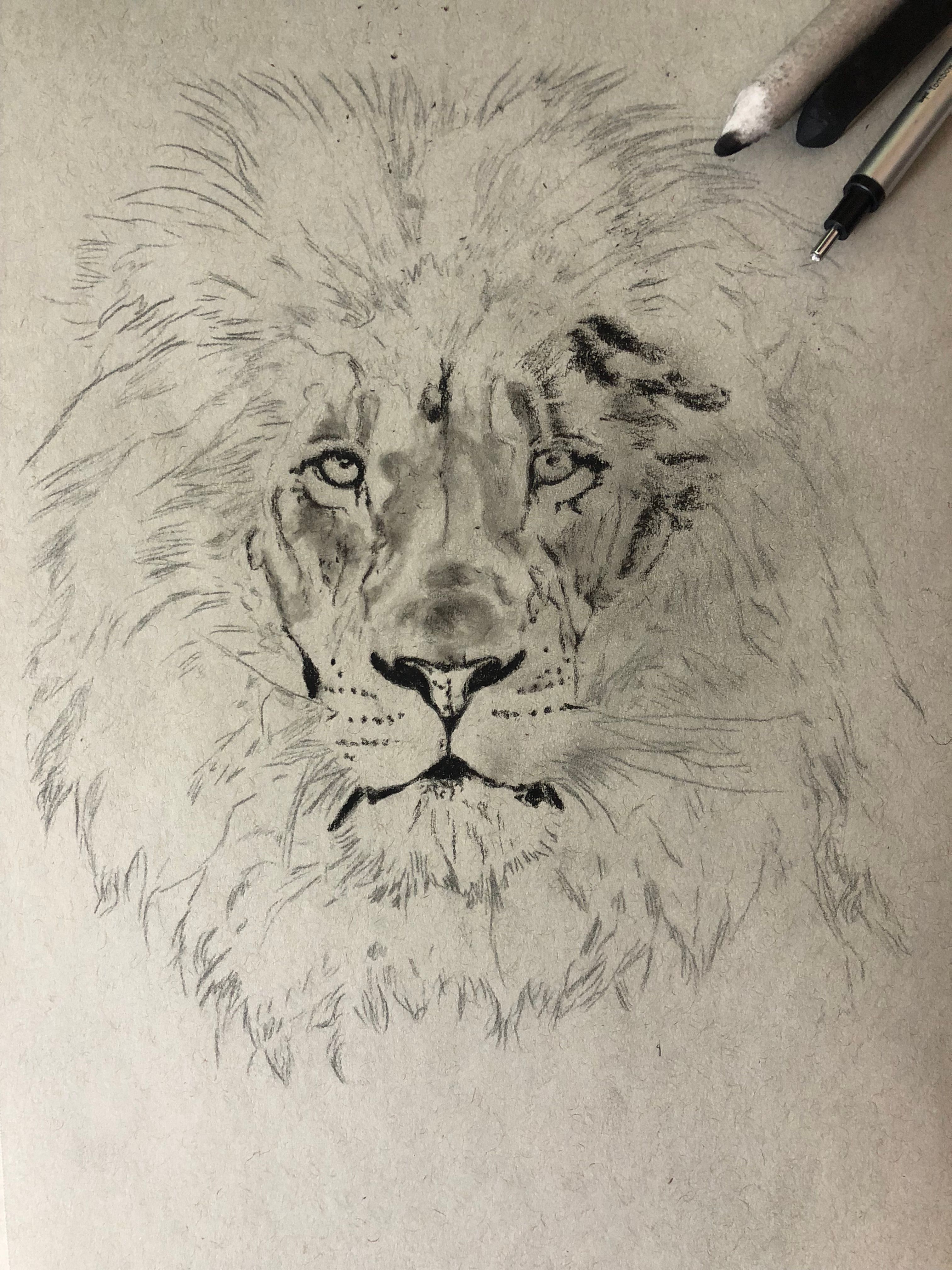 Lion Drawing - Made with HAPPY
