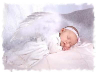 angel2.jpg