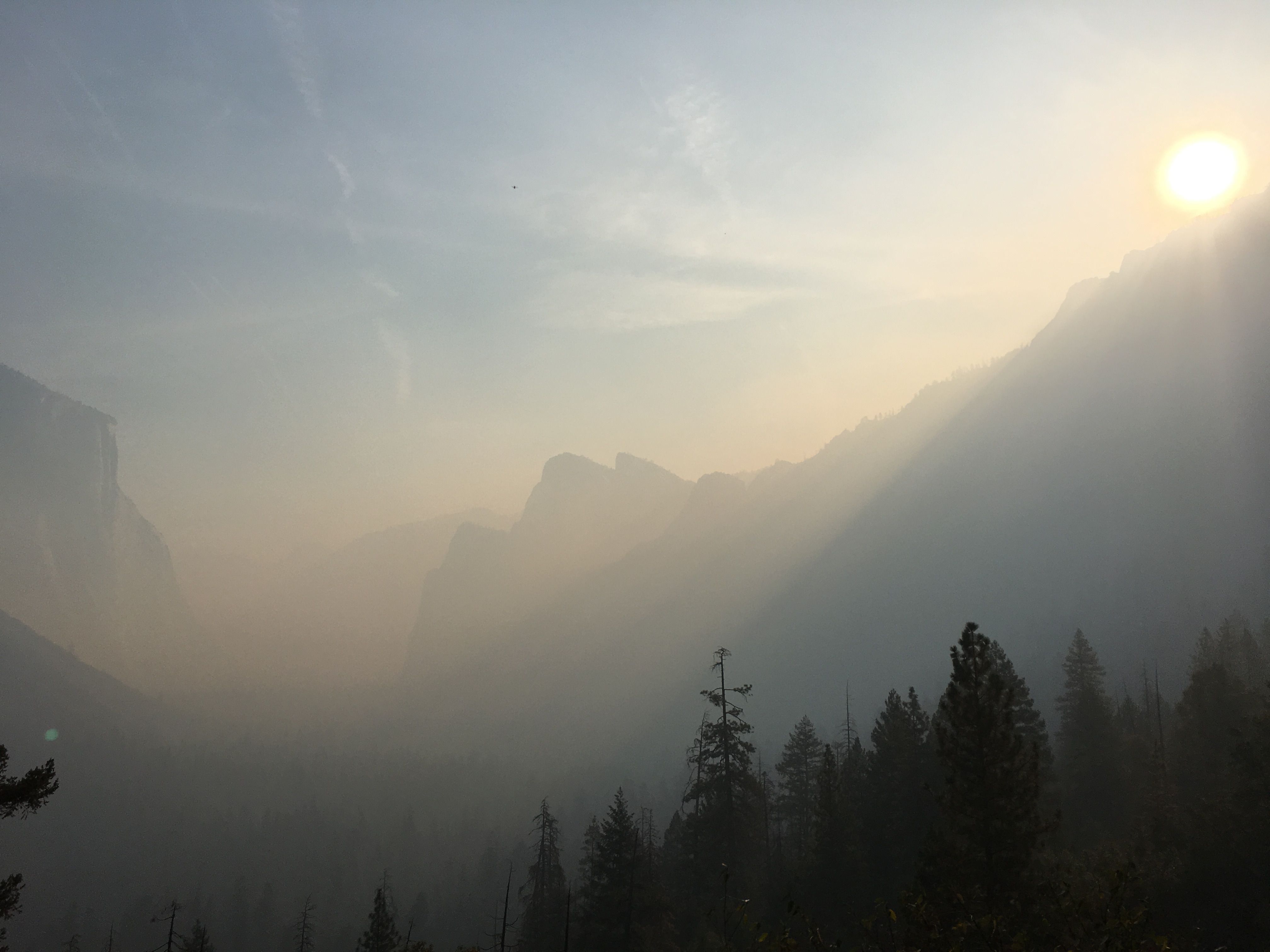 137A8552-C86E-4860-88CD-B8B83F58A39F.jpeg