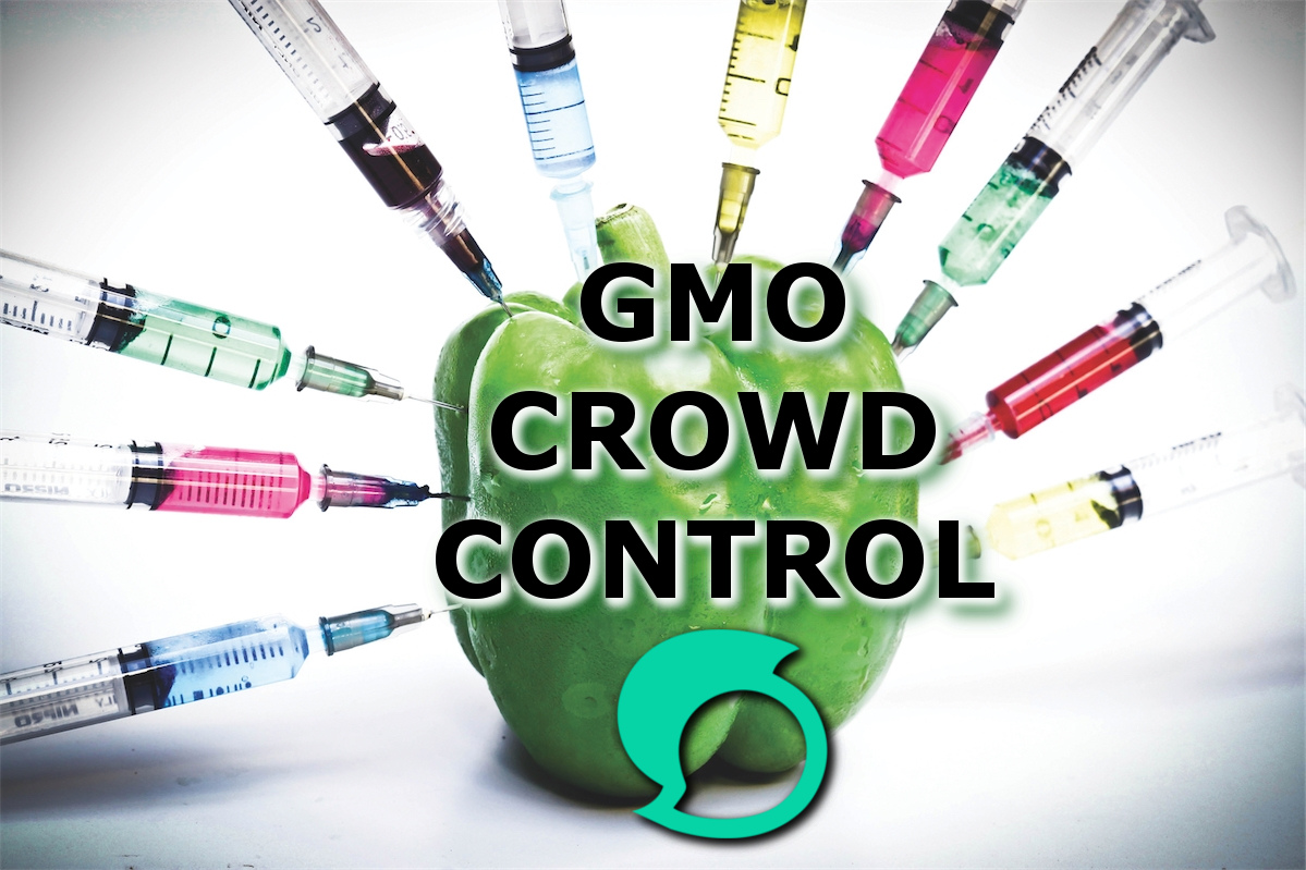 gmo.jpg