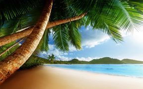 7005673-beach-caribbean.jpg