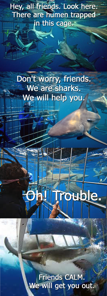 funny.png