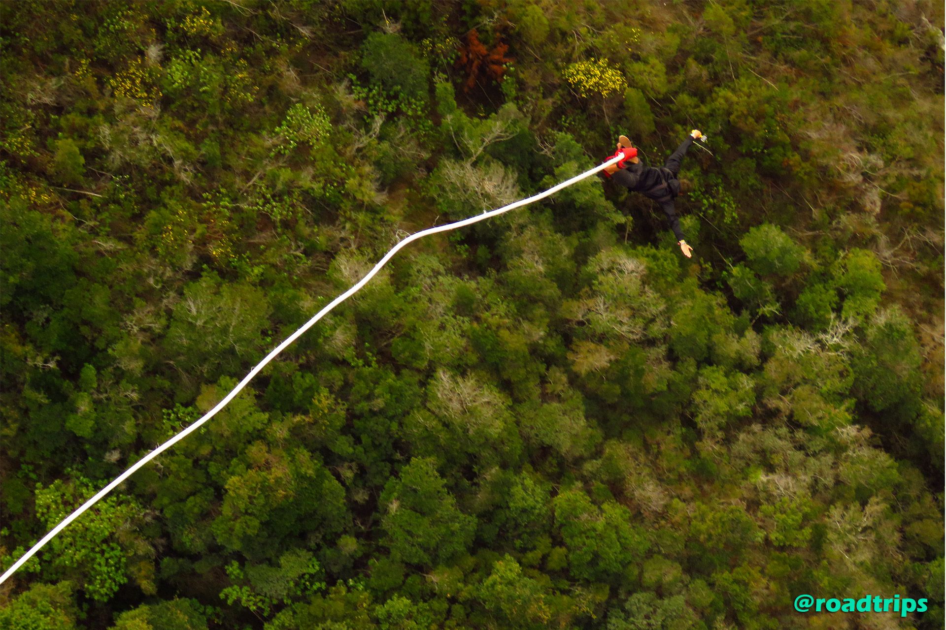 Bungee-Jump2.jpg