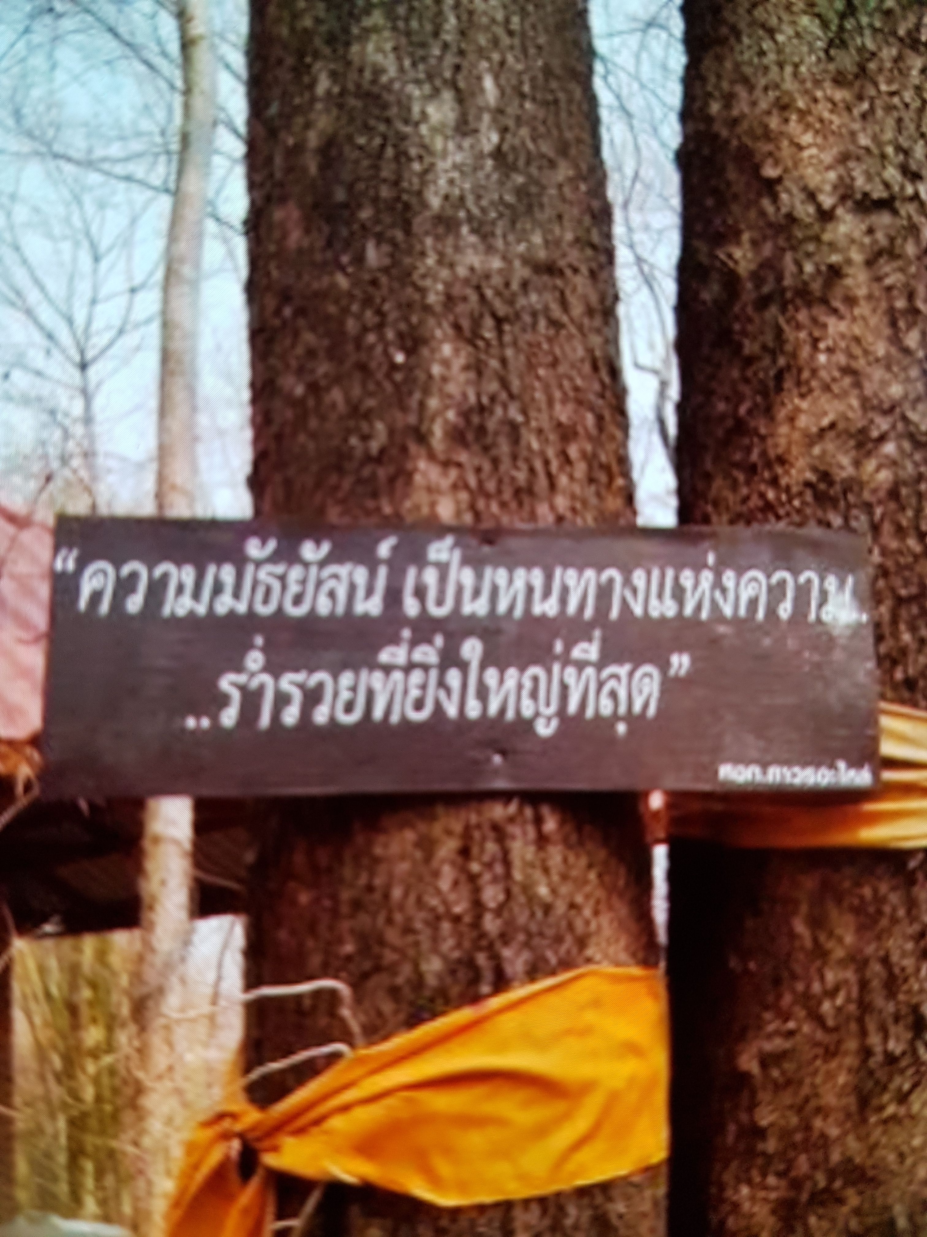 20171031_211233.jpg