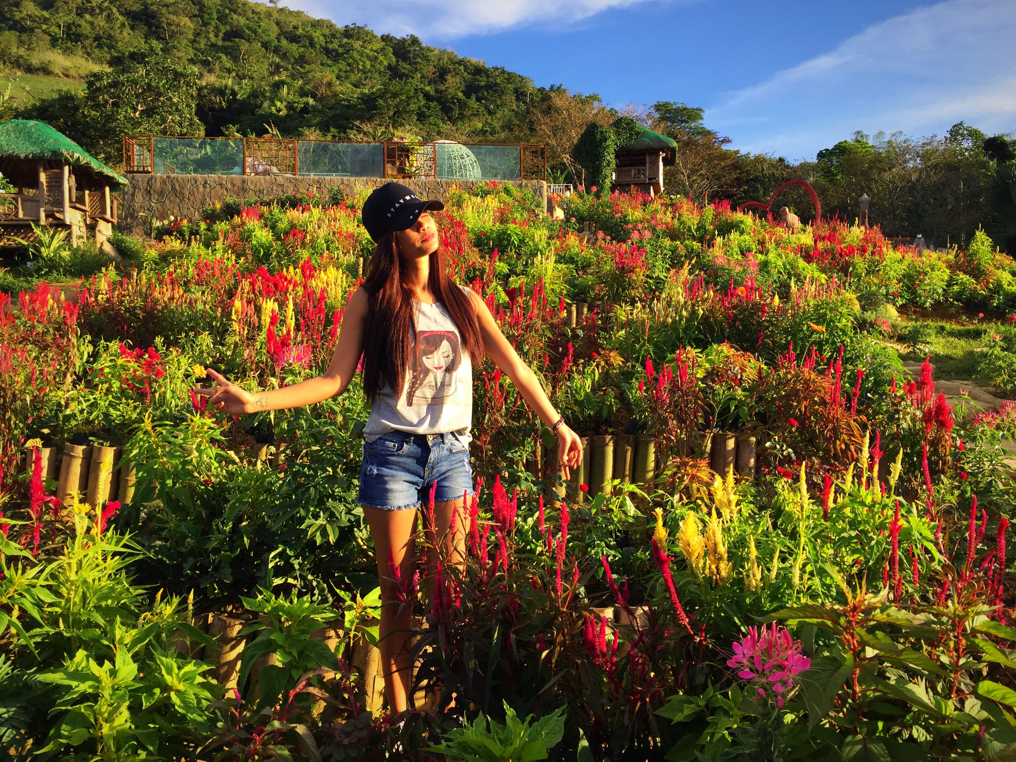lencetravel | flower garden at sirao, a mountain barangay of cebu