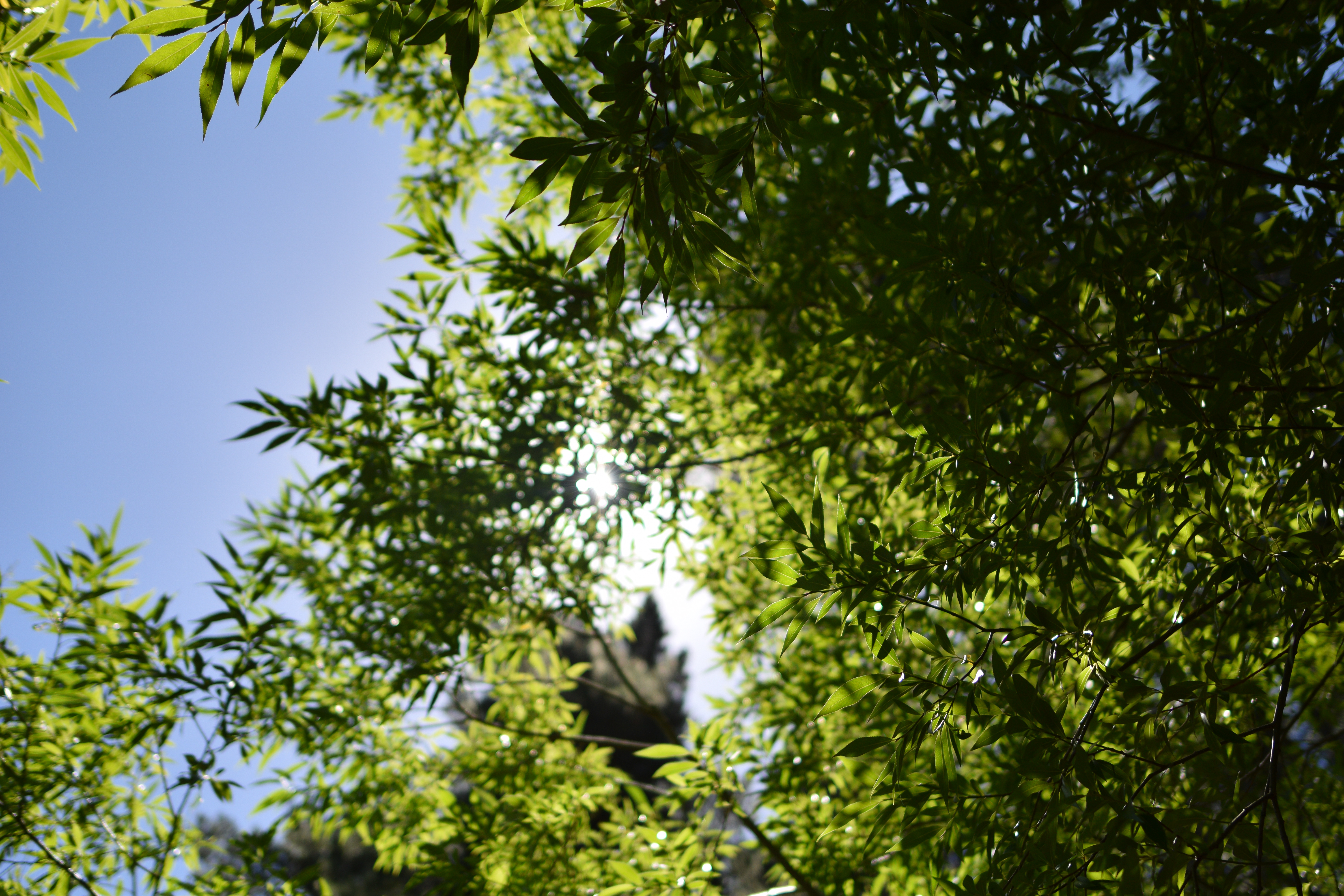 DSC_0610.jpg