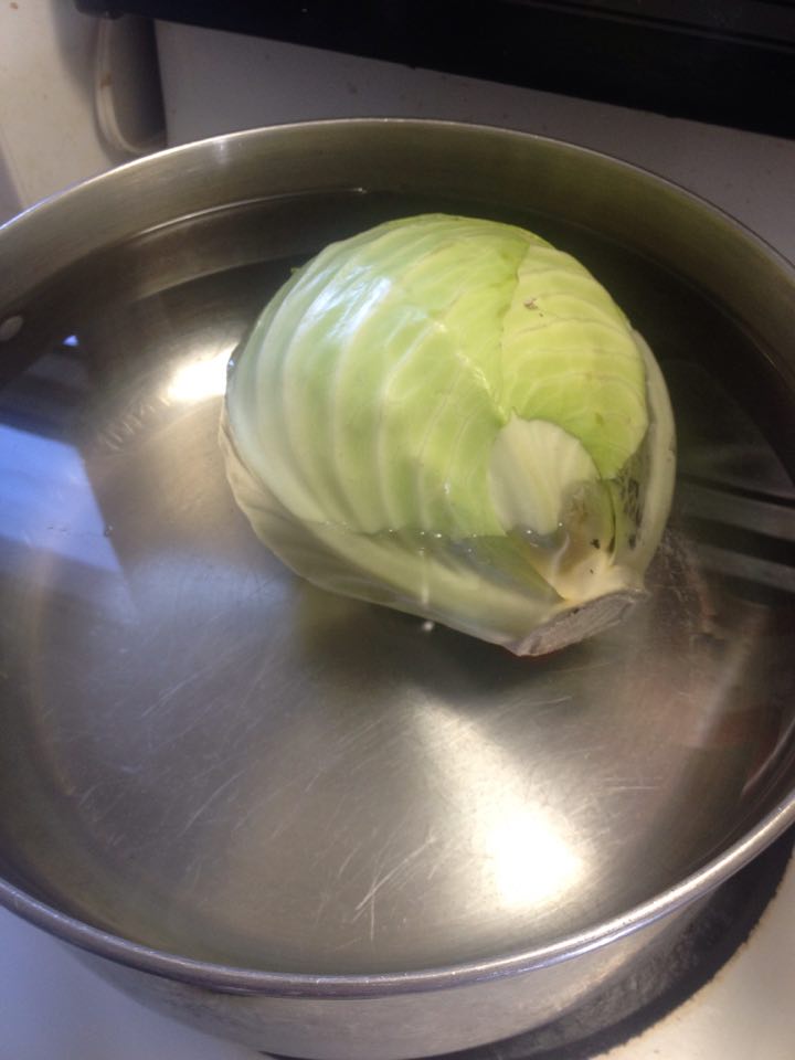 cabbage 2.jpg