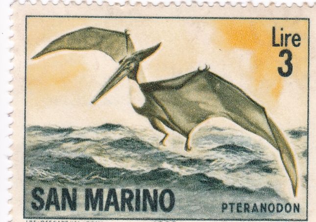 Pteranodon