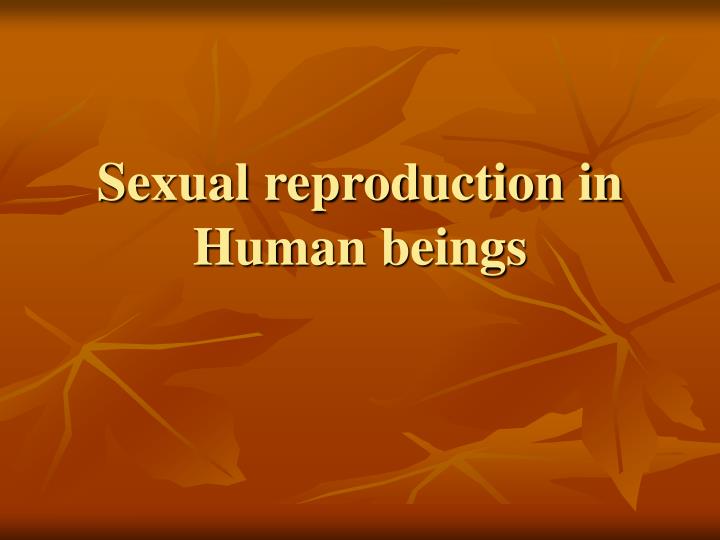 sexual-reproduction-in-human-beings-n.jpg