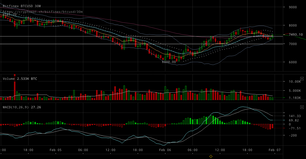 bitfinex-btcusd-Feb-07-2018-1-9-32.png