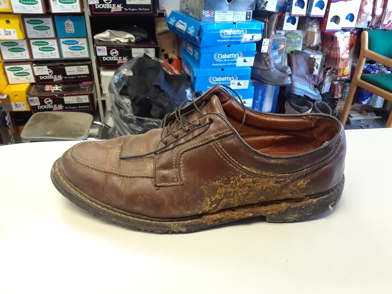 cowpooshoes.jpg