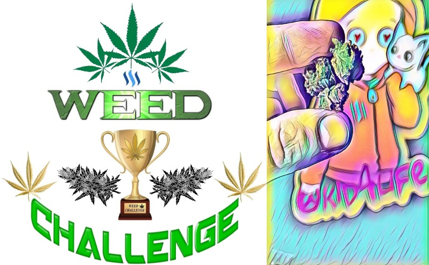 Weed challenge wednesday kid4life.png