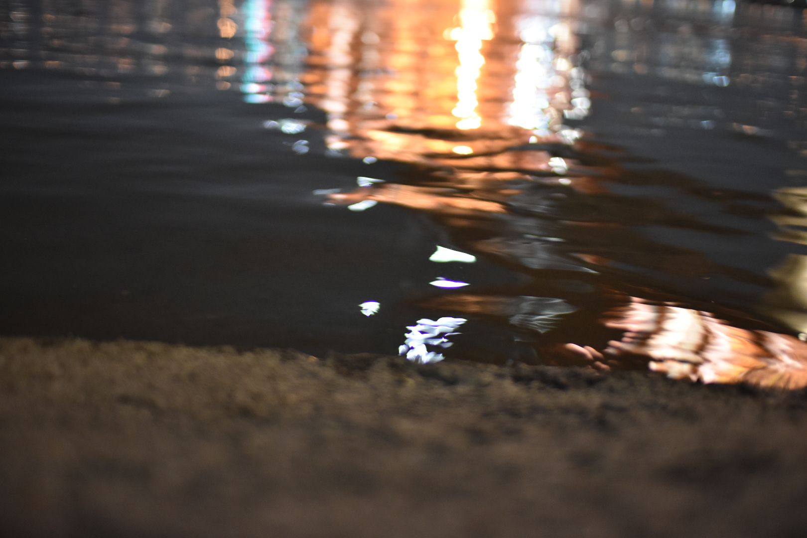 DSC_0948.JPG
