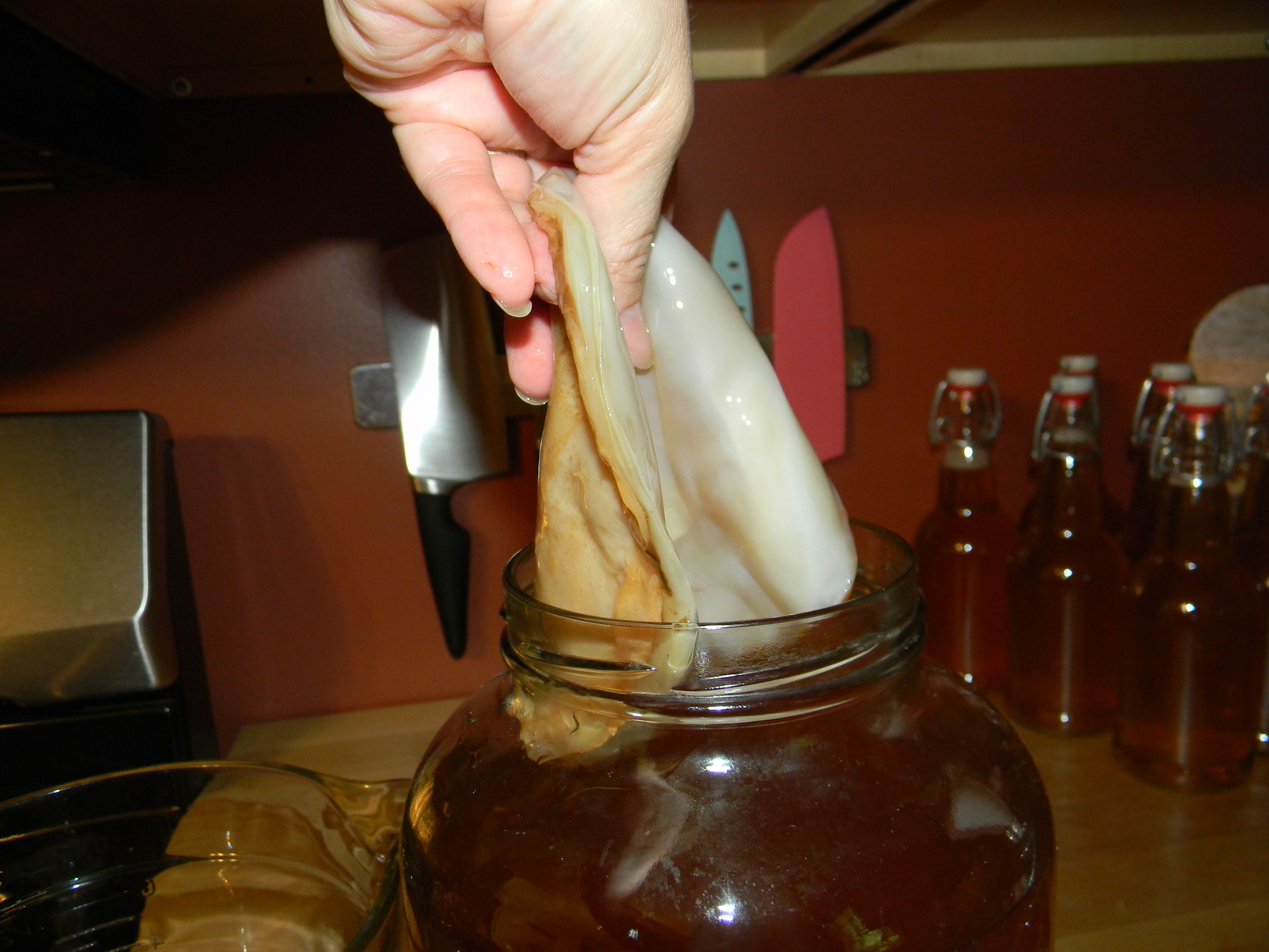 pickingupscoby.JPG