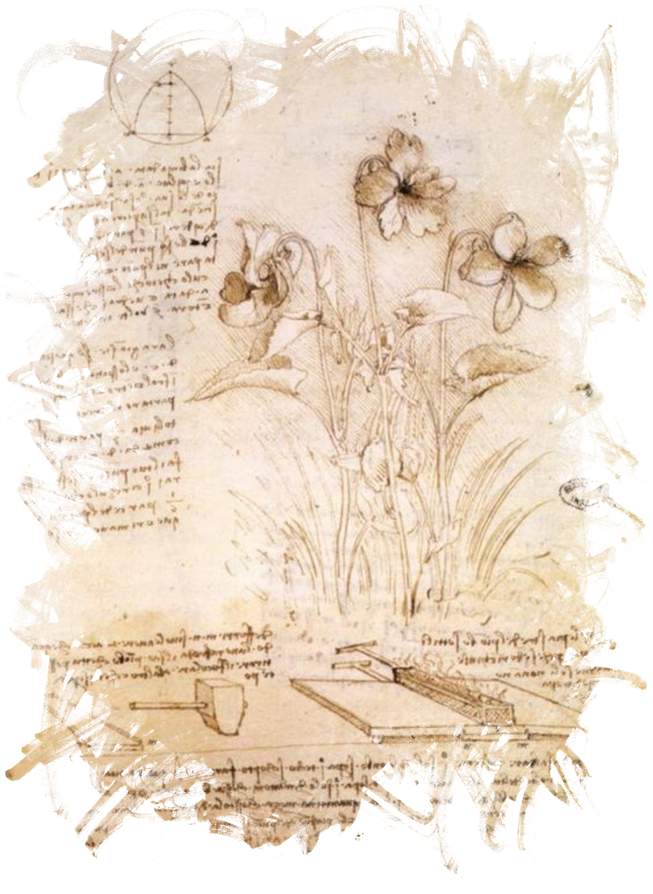 leonardo-da-vinci-1763264_1280.png