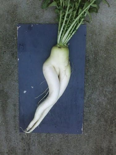sexy-veggie-1.jpg