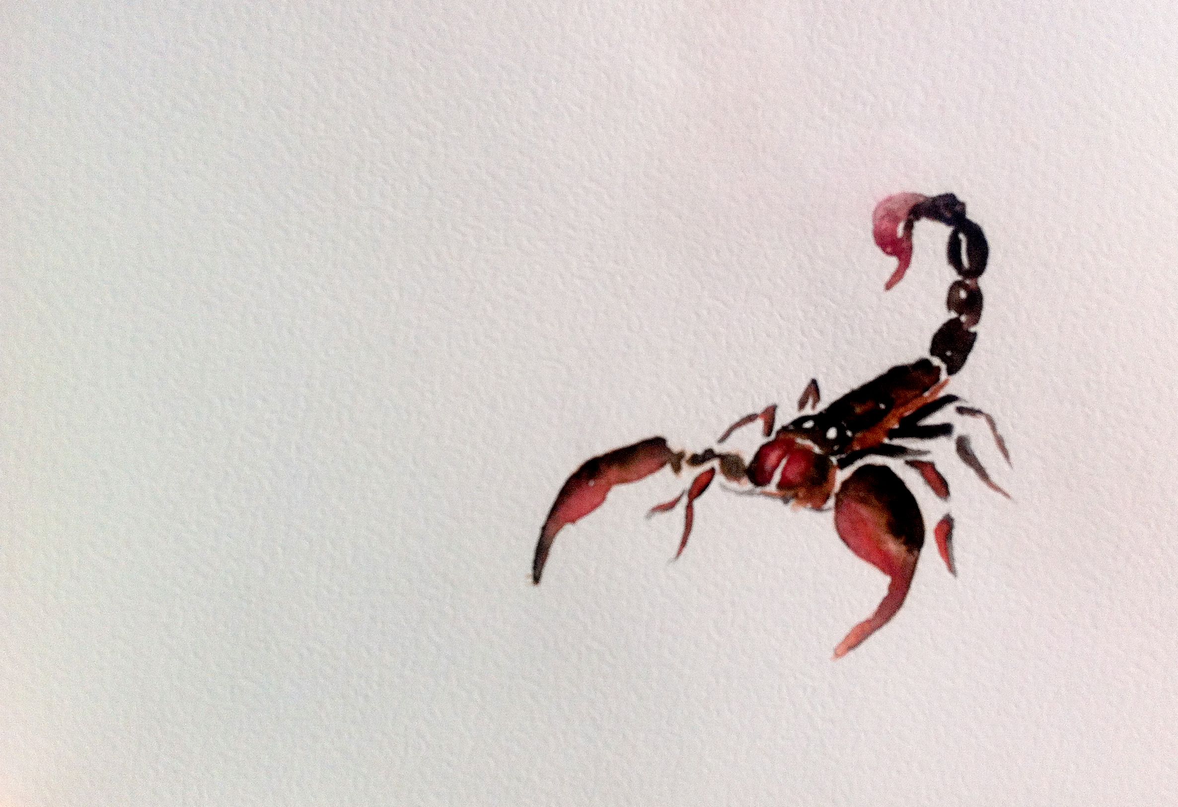 "Scorpion" Watercolor.
