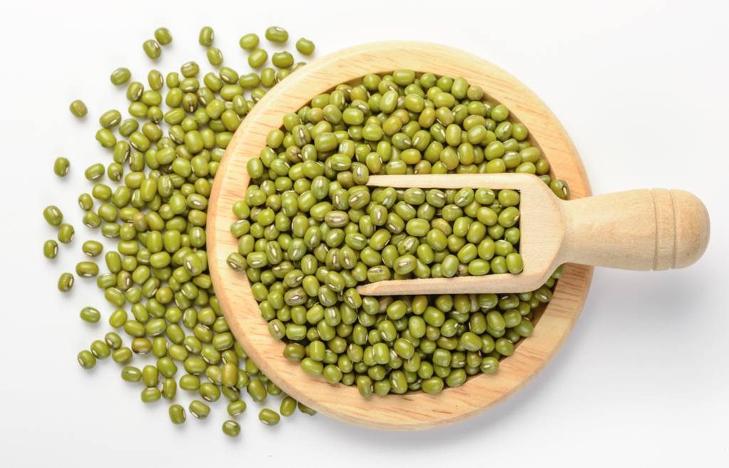 mung_bean_sprouts_1024x1024.png