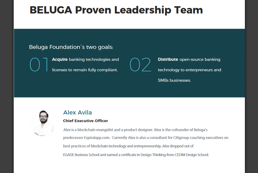 Screenshot_1 beluga leadership team.png