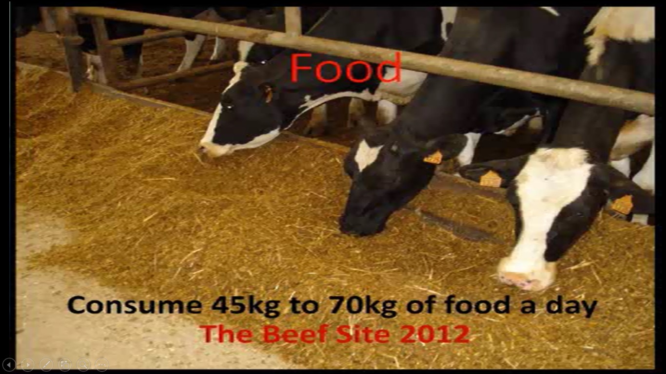 Food_c.jpg