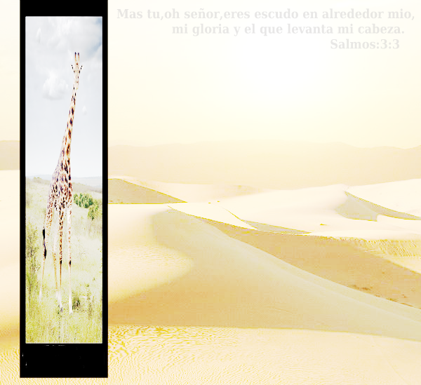 Desiertos1.png