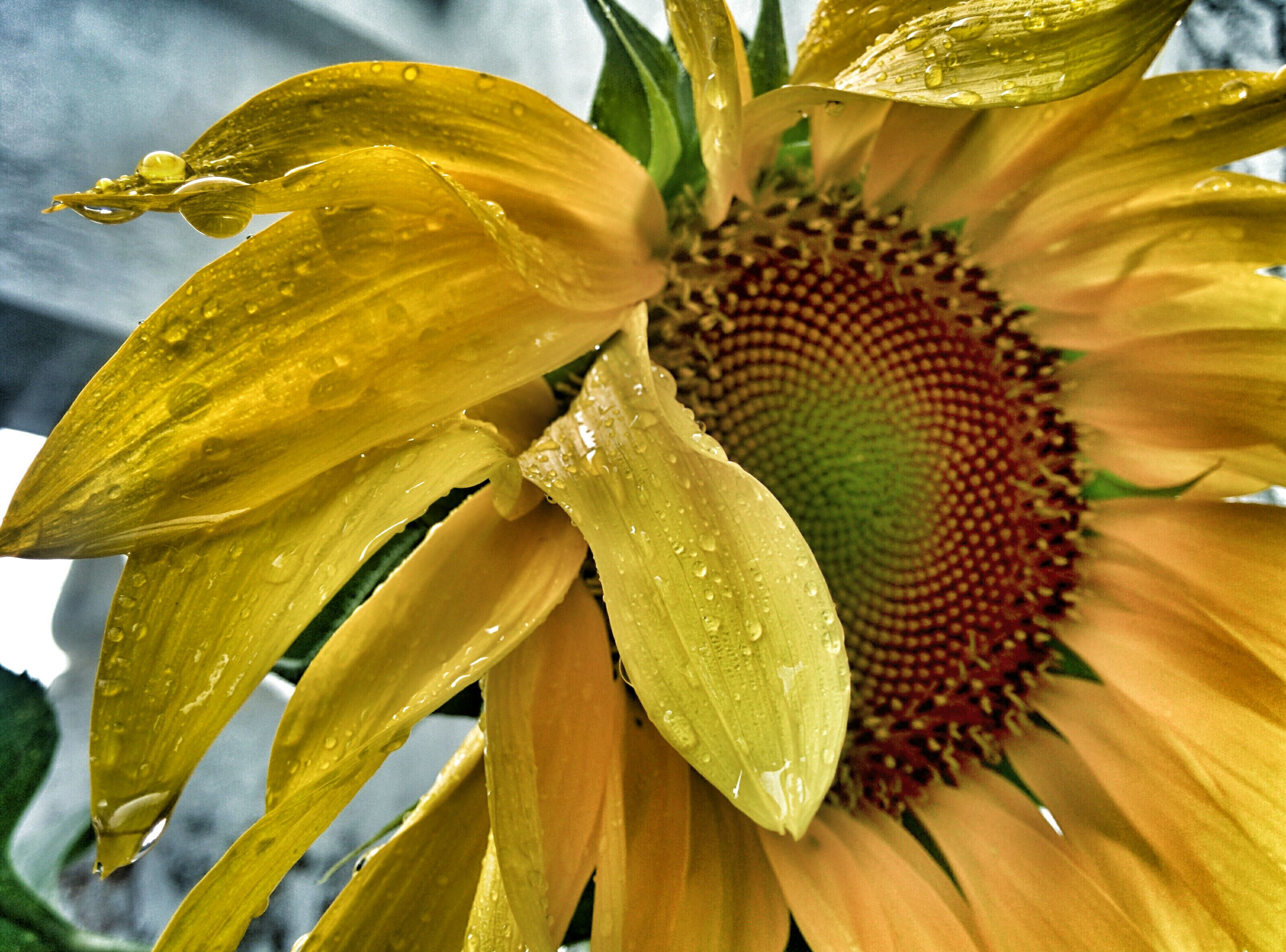 IMG_20140615_172244~2.jpg