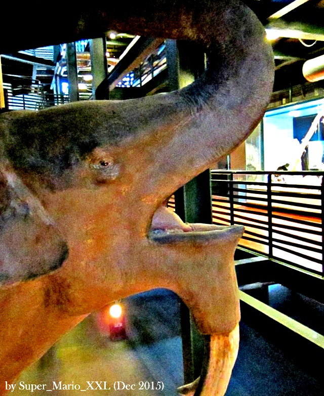 20171205_105949.jpg