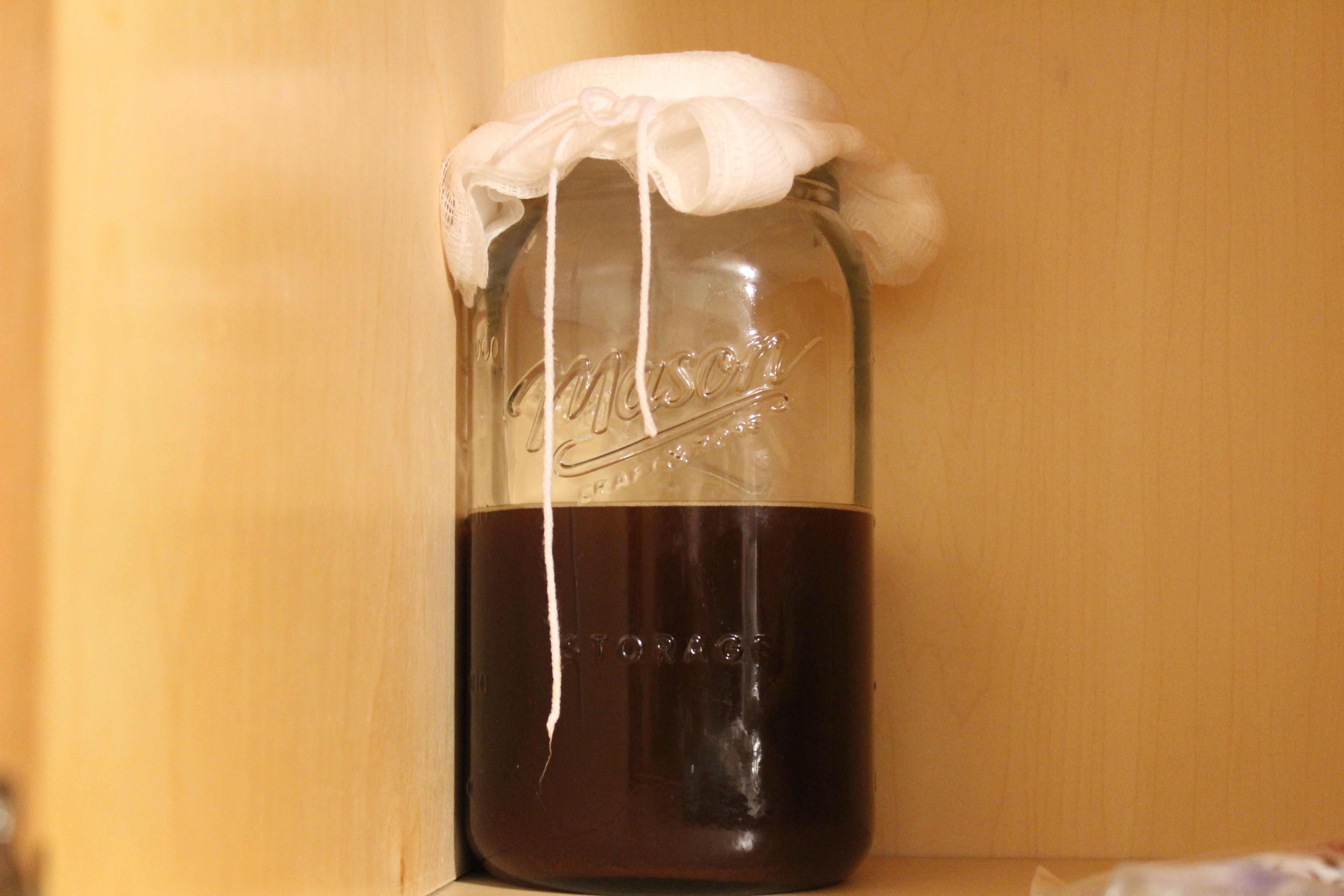 scoby.JPG