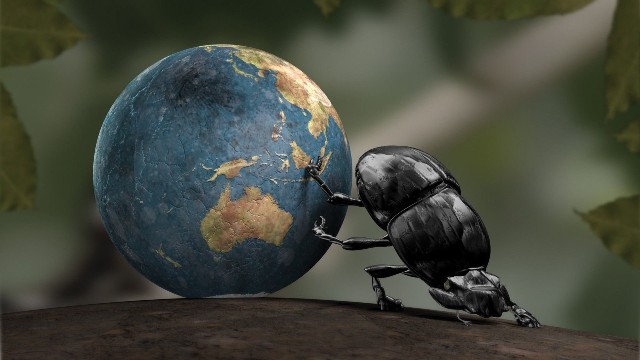 265374-Earth-insect-CGI-Dung_beetle-crabs.jpg