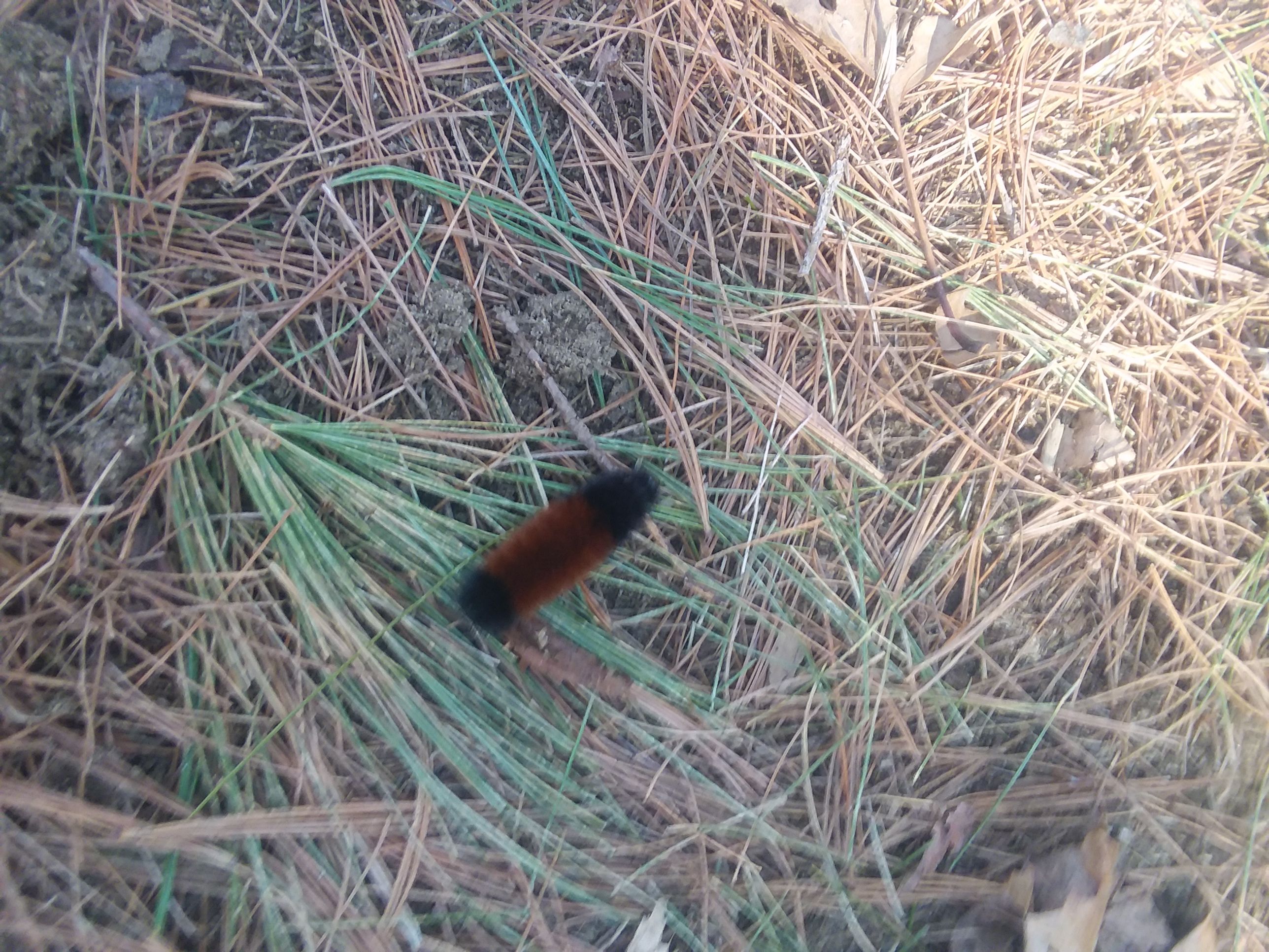 20180421_154554.jpg