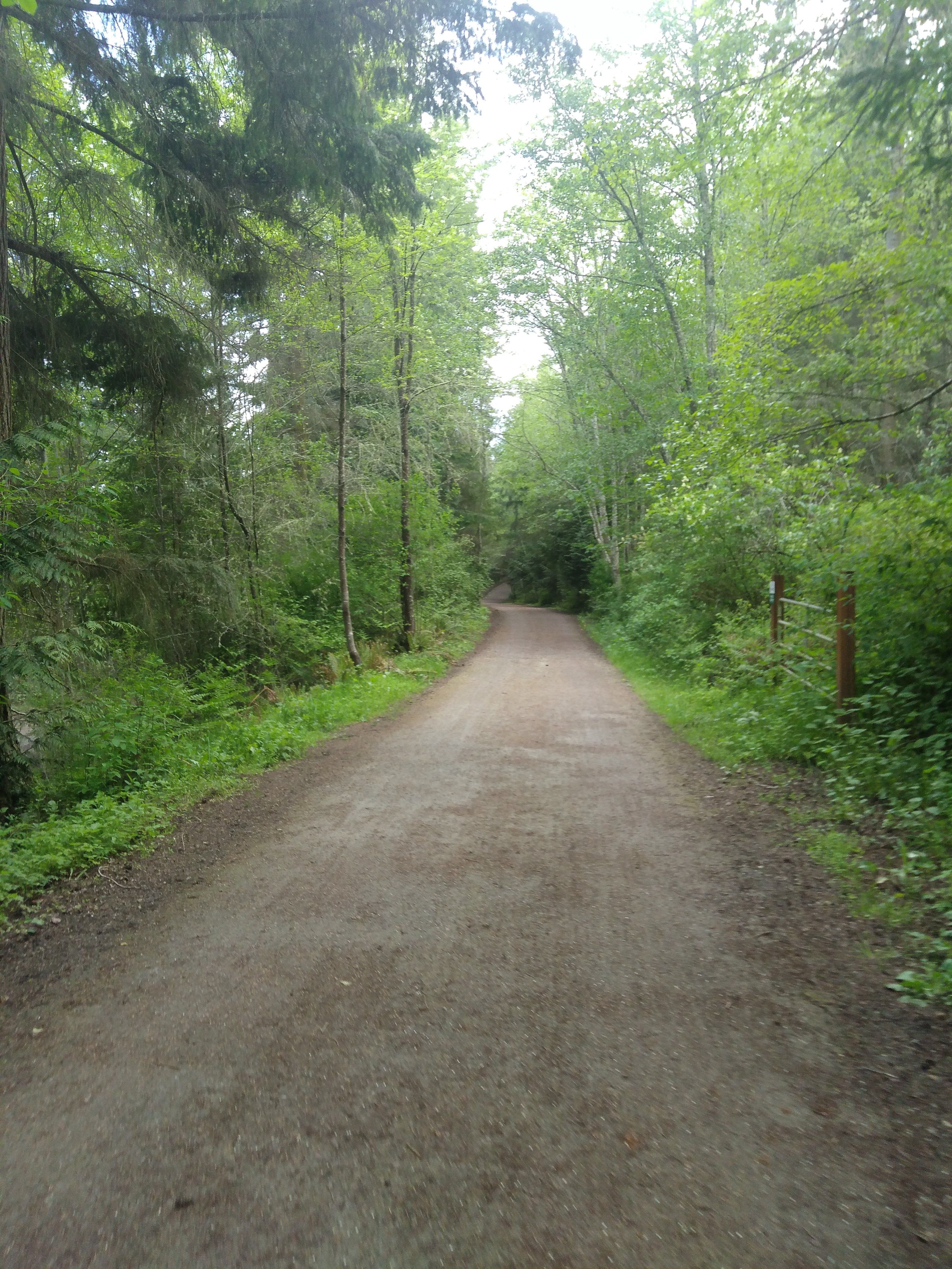 IMG_20180506_160720.jpg