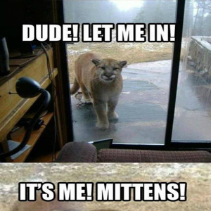 mittens.jpg