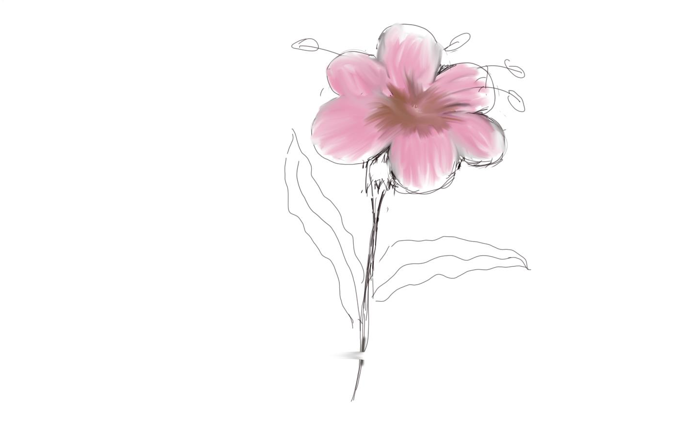 Hibiscus flower sketch of pencil line drawing Vector Image