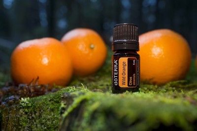 doTERRA-Wild-Orange-Essential-Oil-017oz-5ml.jpg