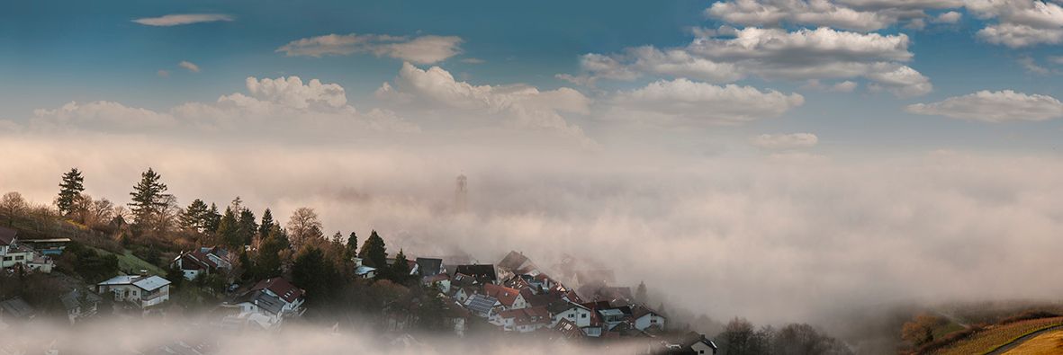 Sw im Nebel_Panorama1.jpg