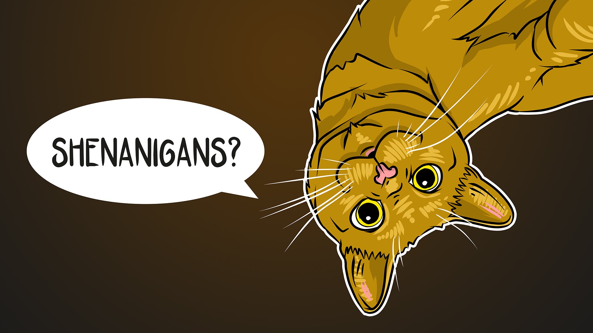 Cat Shenanigans.jpg