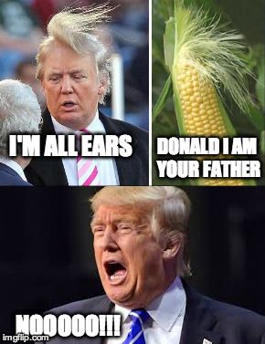 Donald father.jpg