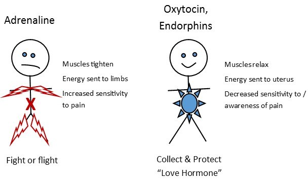 oxy.jpg