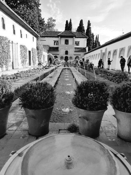 perspectiva.jpg