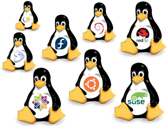 linux-distributions-new-users-beginners-e1479382763133.jpg