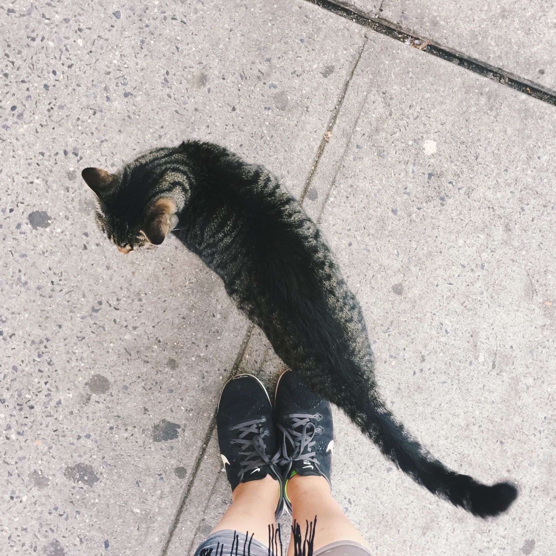 VSCO Cam-1.jpg
