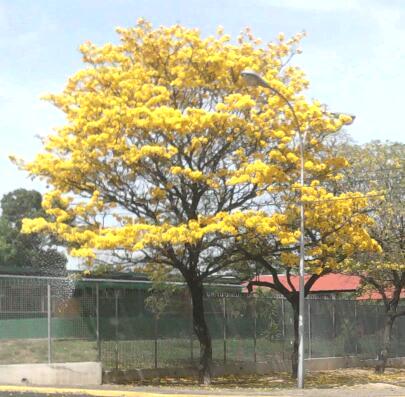 2014-04-24 09.45.06-1.jpg