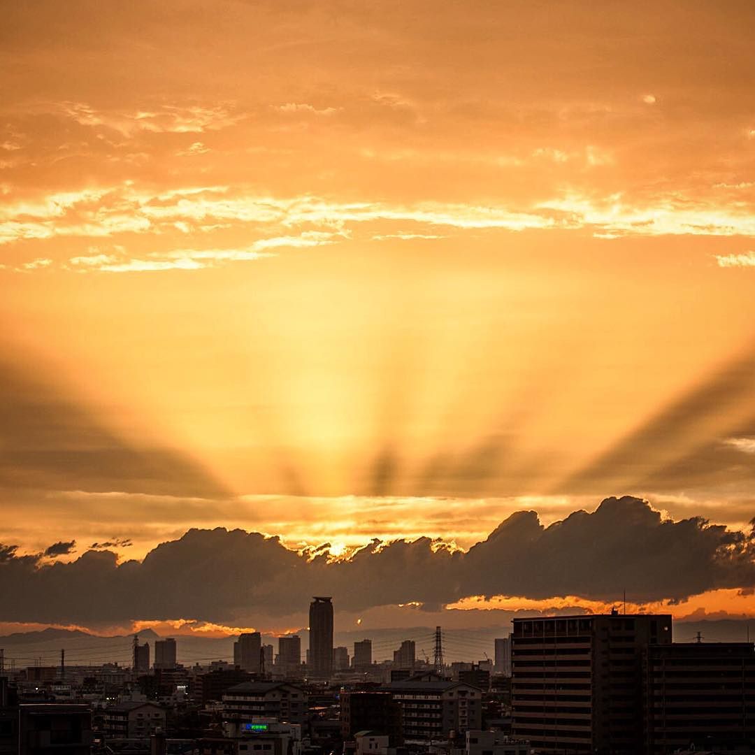 _japan__japantrip2016__tokyo__evening__sunset__eveningsun__tokyoview__shine__sunrays_July_19__2016_at_0653PM.jpg