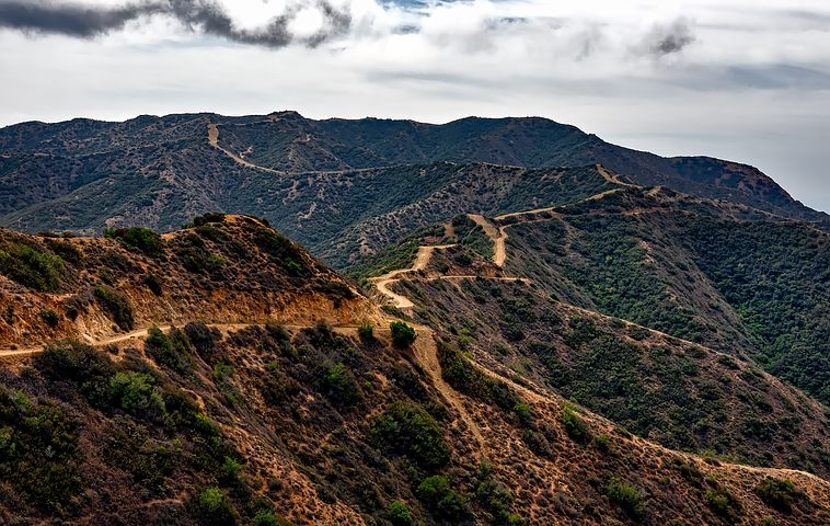 catalina-island-1588654__480.jpg