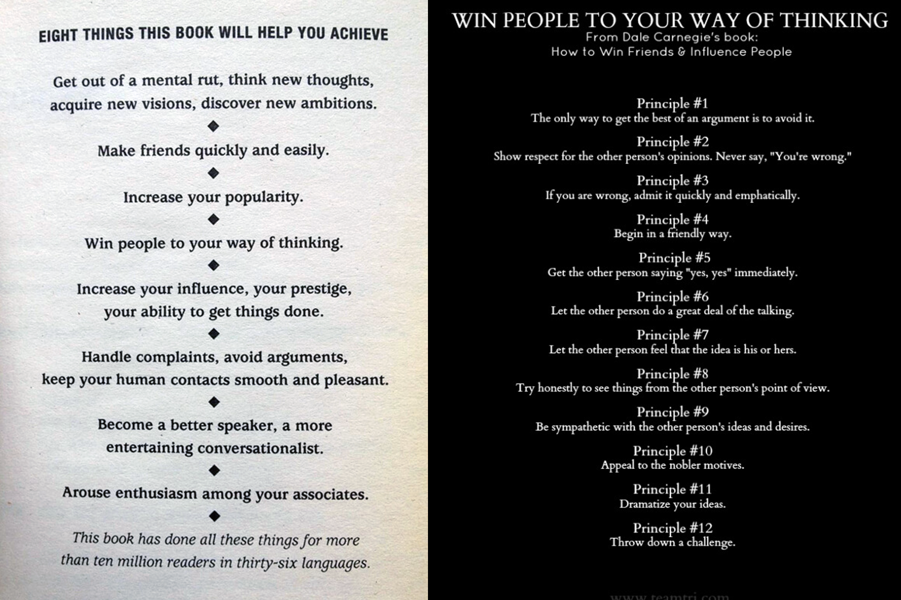 Untitled-1 copy.png