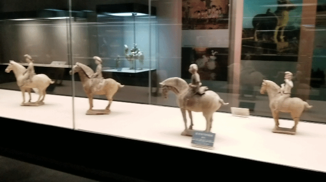 20180413_125438_1.gif