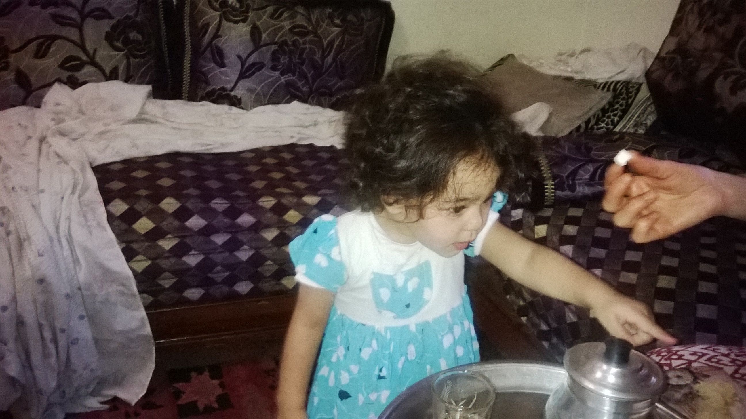 WP_20160921_019.jpg