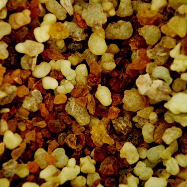 frankincense_myrrh2_5.jpg