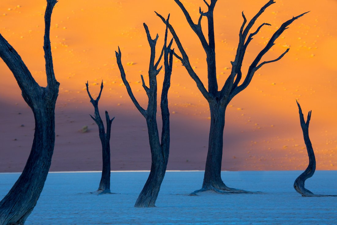 this-may-look-like-a-surrealist-painting-but-its-actually-a-photo-of-deadvlei-in-namibia.jpg